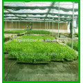 100% virgin pp material ground cover/weed control fabric for greenhouse